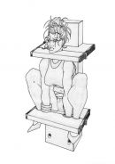 frogbench-overhead-nc-1