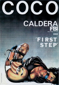 Caldera cover